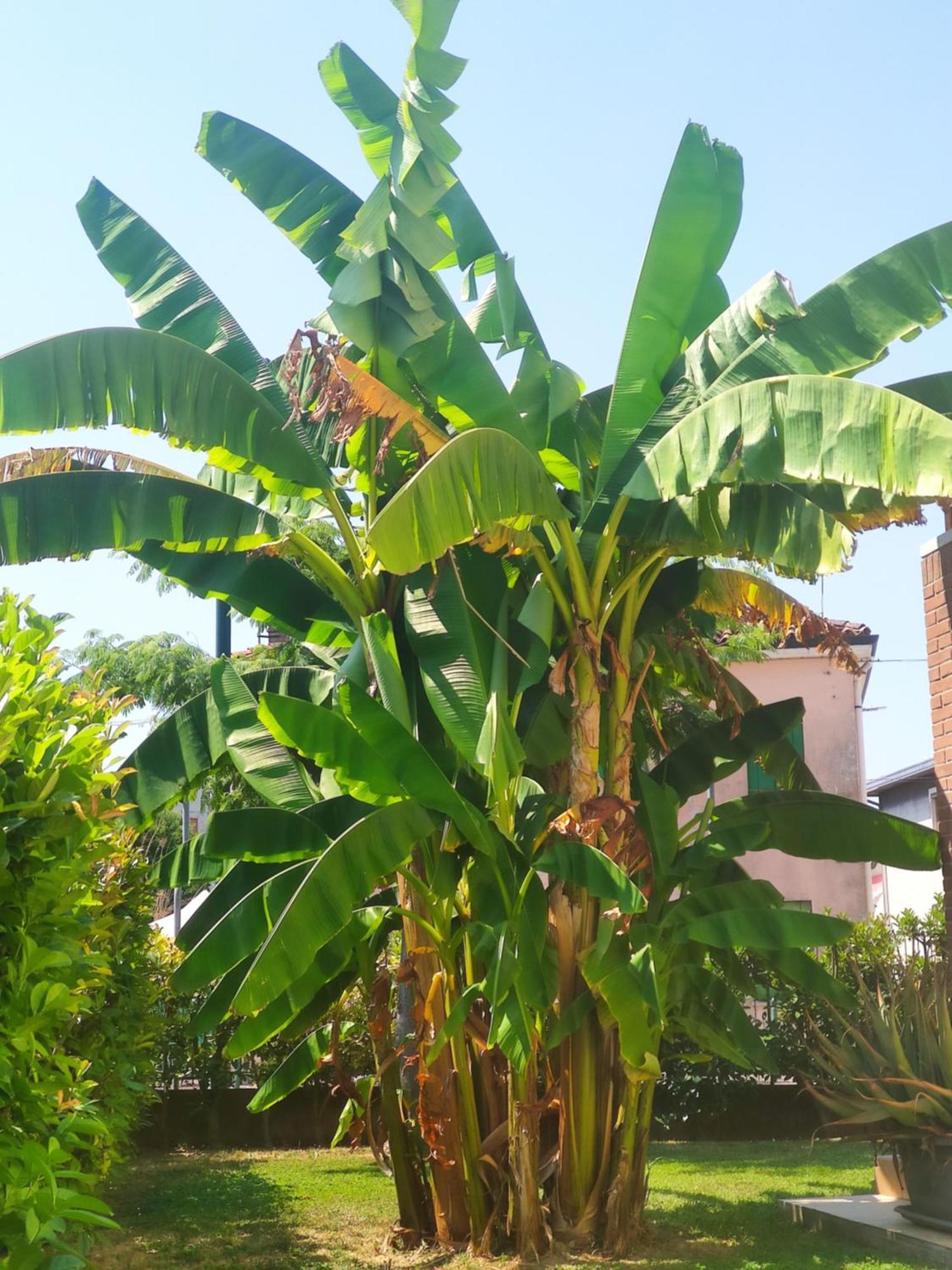Bahay bakasyunan Wilma House *